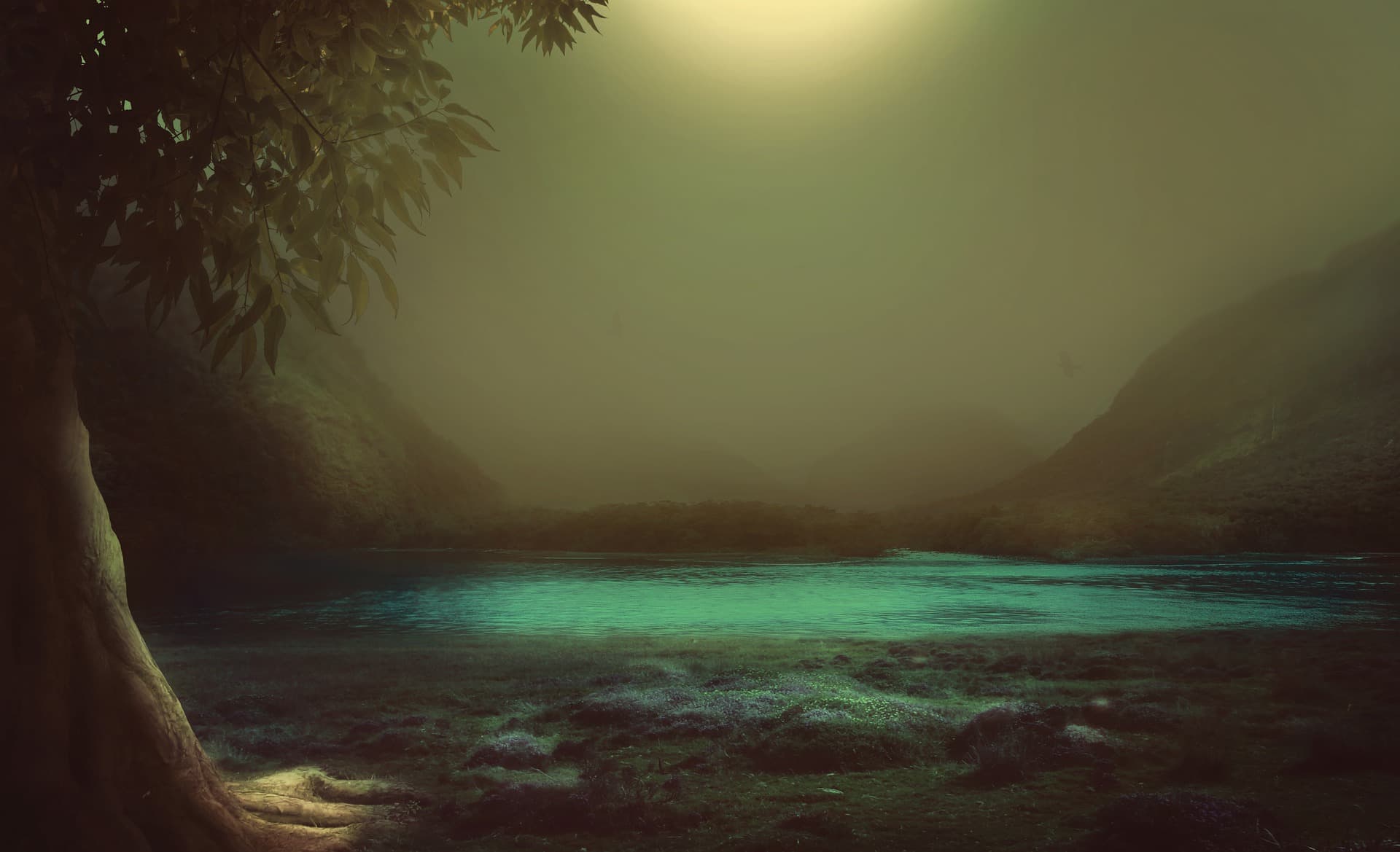 forest background